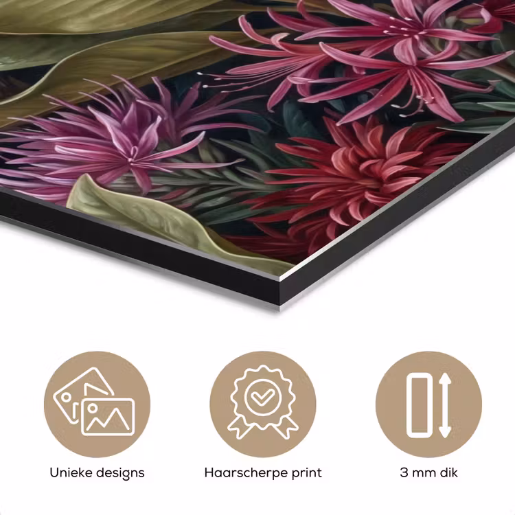 Planten - Tropisch - Botanisch - Donker - Groen aluminium wit klein -closeup_NL