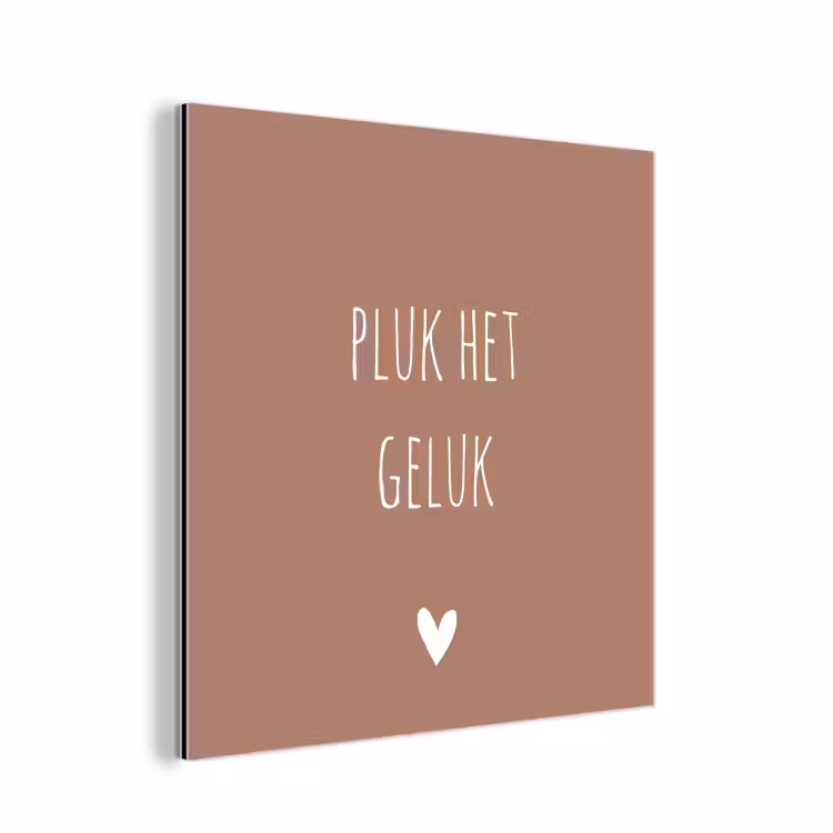 Pluk het geluk - Spreuken - Quotes aluminium wit klein -3d