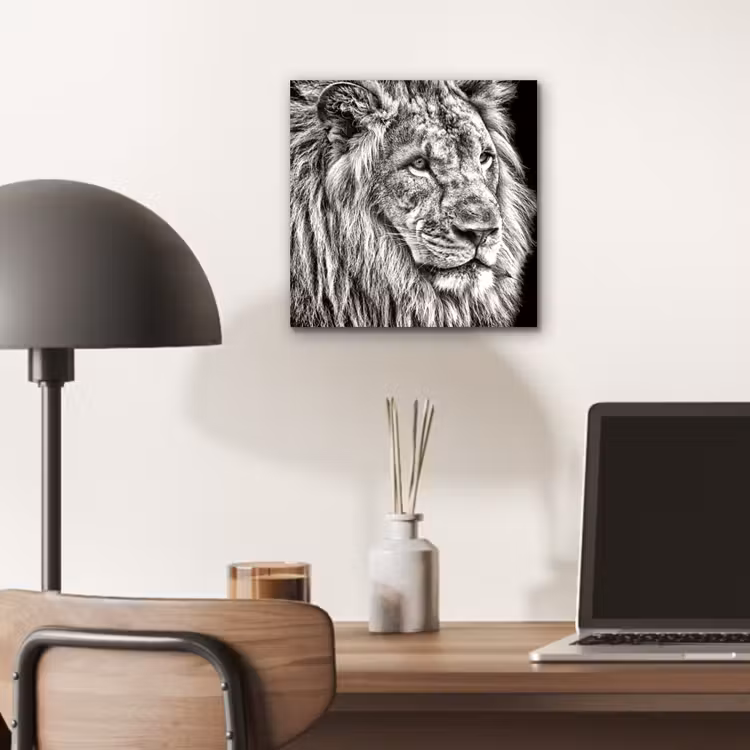 Portret - Leeuw - Zwart wit aluminium wit klein -sfeer5