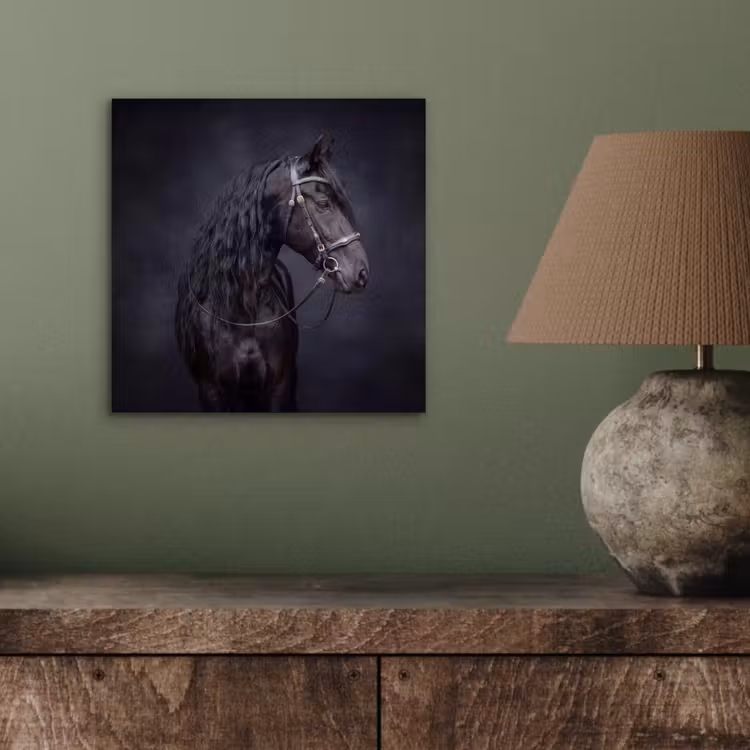 Portret - Paard - Donker aluminium wit klein -sfeer2
