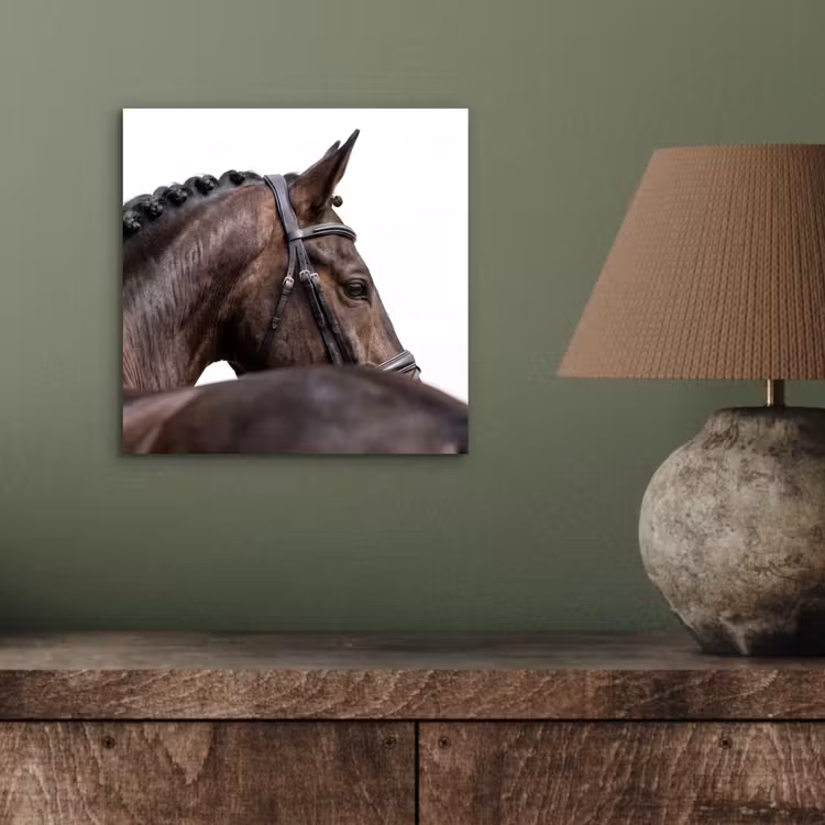 Portret - Paard - Elegant aluminium wit klein -sfeer2