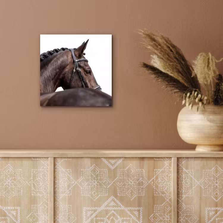 Portret - Paard - Elegant aluminium wit klein -sfeer4