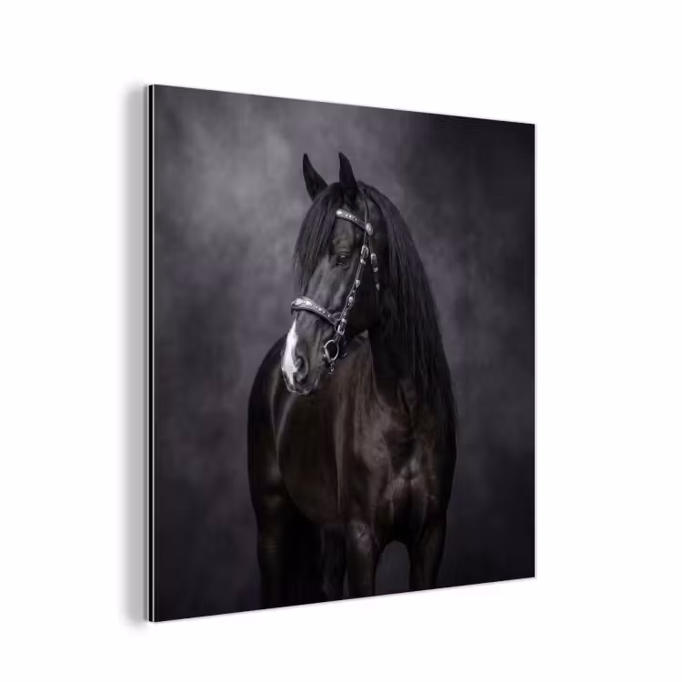 Portret - Paard - Zwart aluminium wit klein -3d