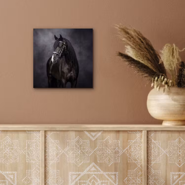 Portret - Paard - Zwart aluminium wit klein -sfeer4