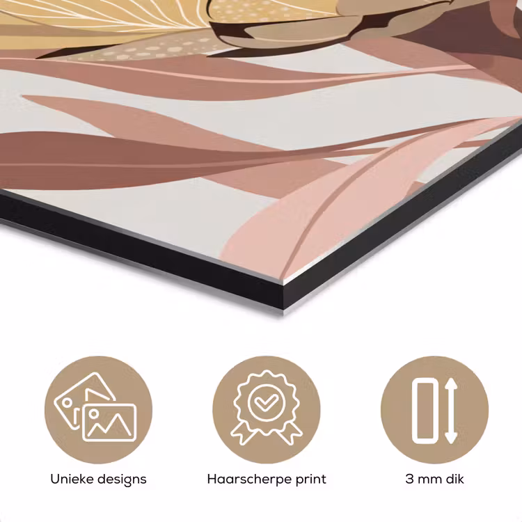 Protea - Bloem - Botanisch - Beige aluminium wit klein -closeup_NL