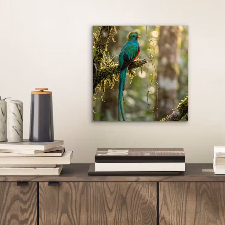 Quetzal - Jungle - Natuur - Groen aluminium wit klein -sfeer1