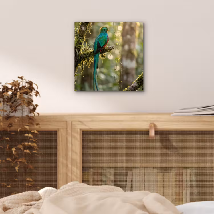 Quetzal - Jungle - Natuur - Groen aluminium wit klein -sfeer3