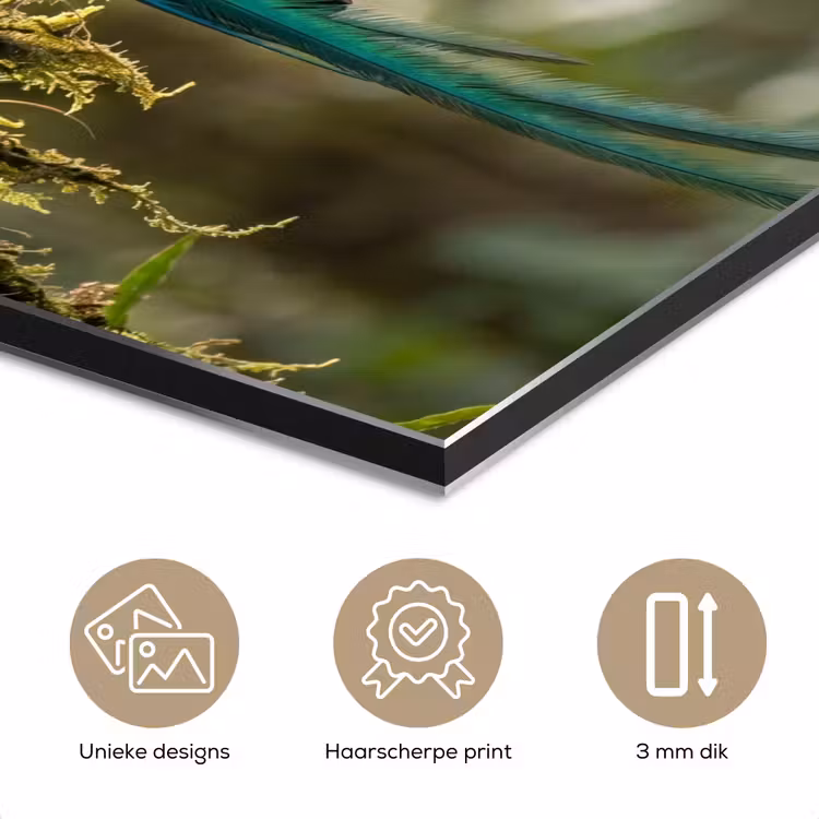 Quetzal - Jungle - Natuur - Groen aluminium wit klein -closeup_NL