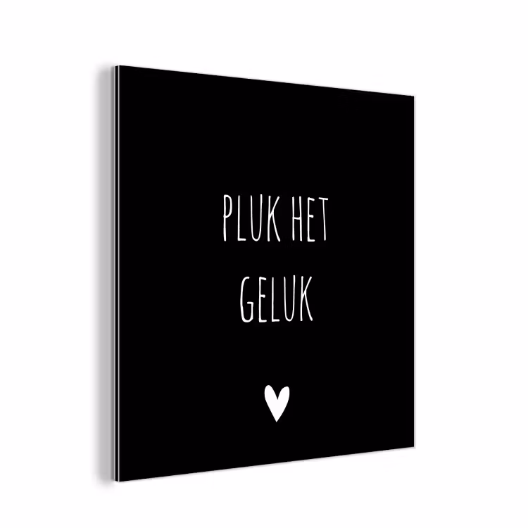 Quote - Spreuken - Pluk het geluk aluminium wit klein -3d
