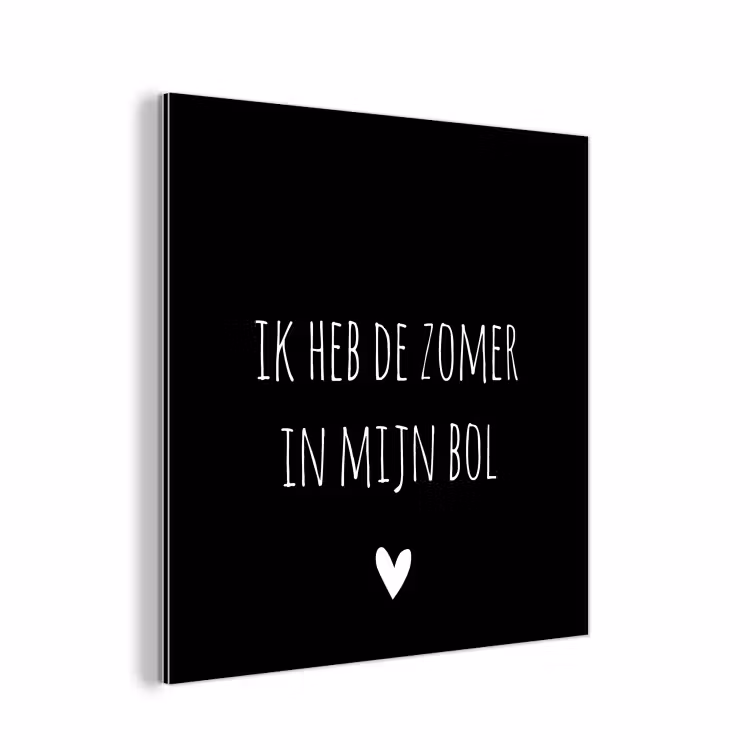 Quotes - Ik heb de zomer in mijn bol - André Hazes - Spreuken aluminium wit klein -3d