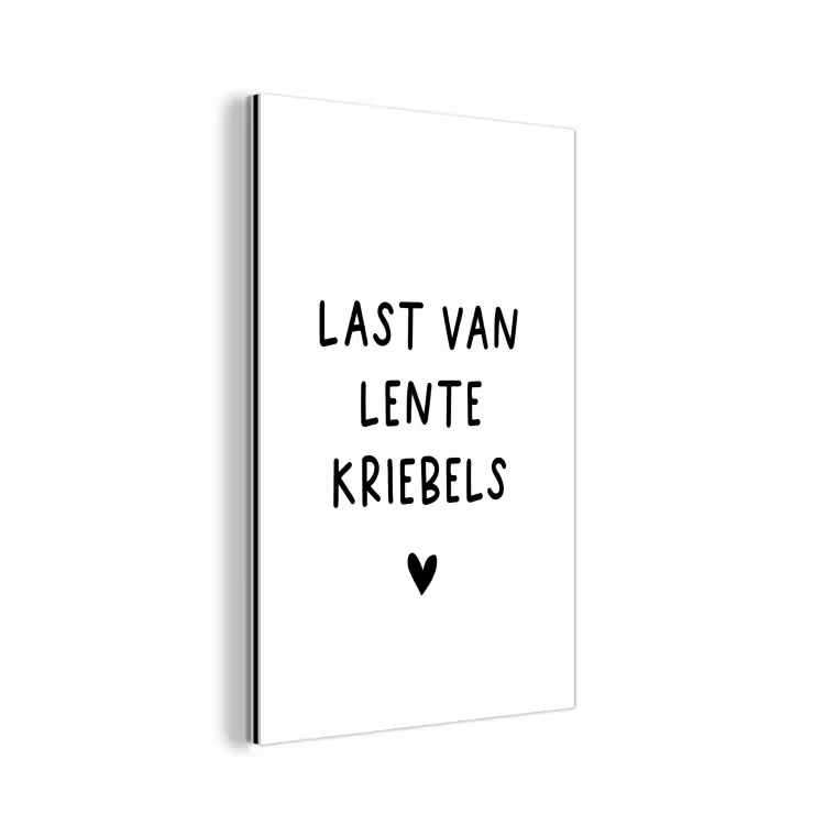 Quotes - Last van lentekriebels - Spreuken aluminium wit klein -3d