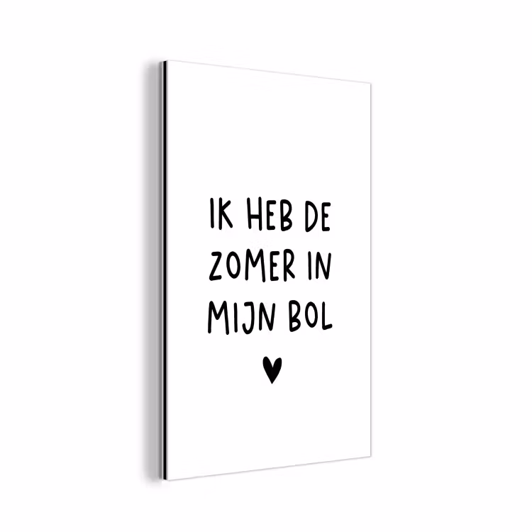 Quotes - Spreuken - André Hazes - Ik heb de zomer in mijn bol aluminium wit klein -3d