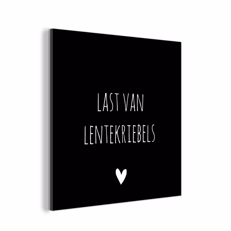 Quotes - Spreuken - Lentekriebels aluminium wit klein -3d