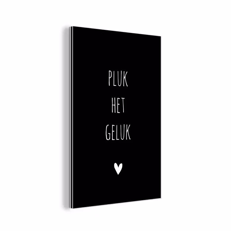 Quotes - Spreuken - Pluk het geluk aluminium wit klein -3d
