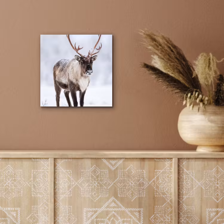 Rendier - Gewei - Toendra - Sneeuw - Wild aluminium wit klein -sfeer4