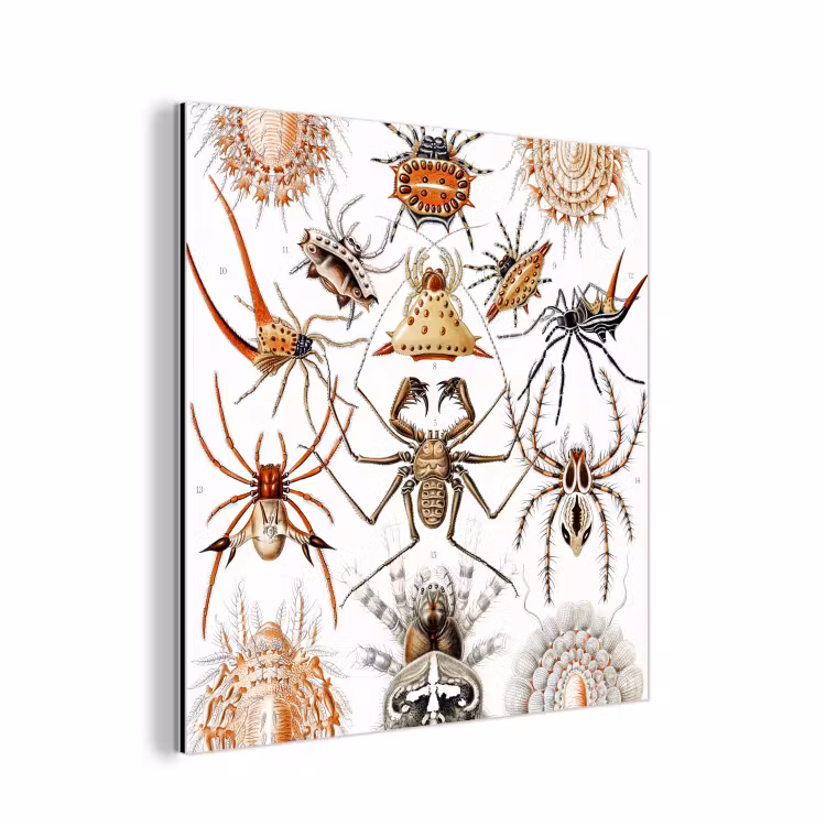 Retro - Ernst Haeckel - Insecten - Tuinposter - Tuin aluminium wit klein -3d