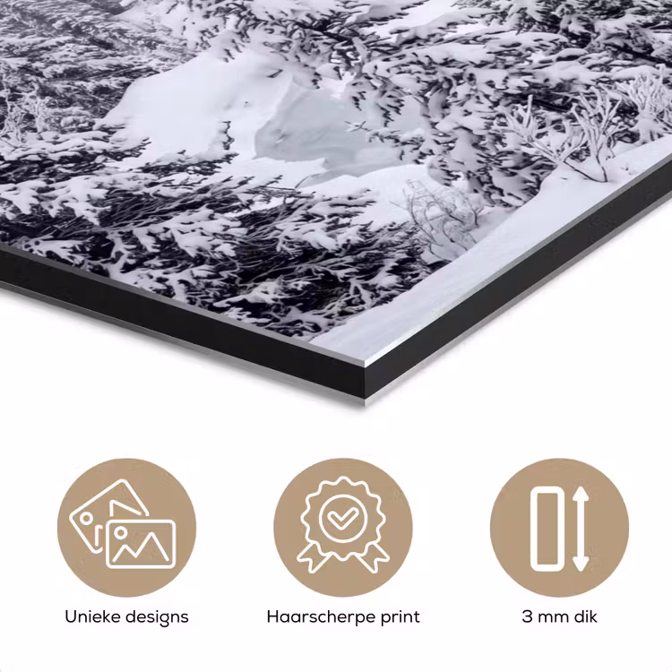 Rivier - Bevroren - Landschap - Winter aluminium wit klein -closeup_NL