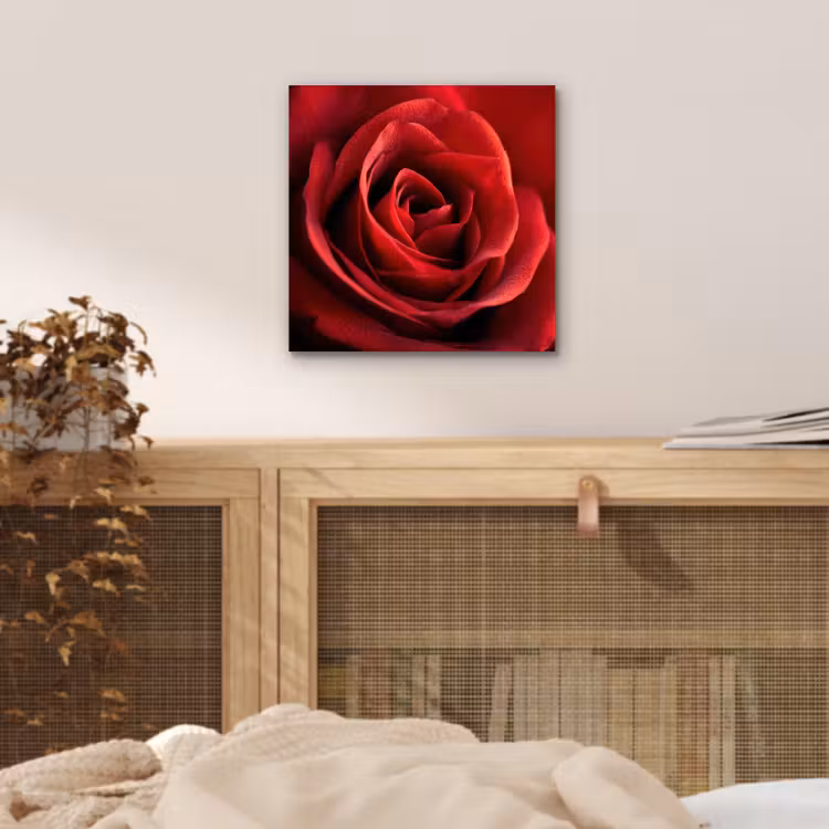 Rood - Roos - Romantisch aluminium wit klein -sfeer3