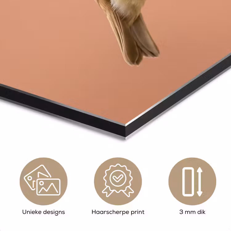 Roodborst - Natuur - Roze aluminium wit klein -closeup_NL