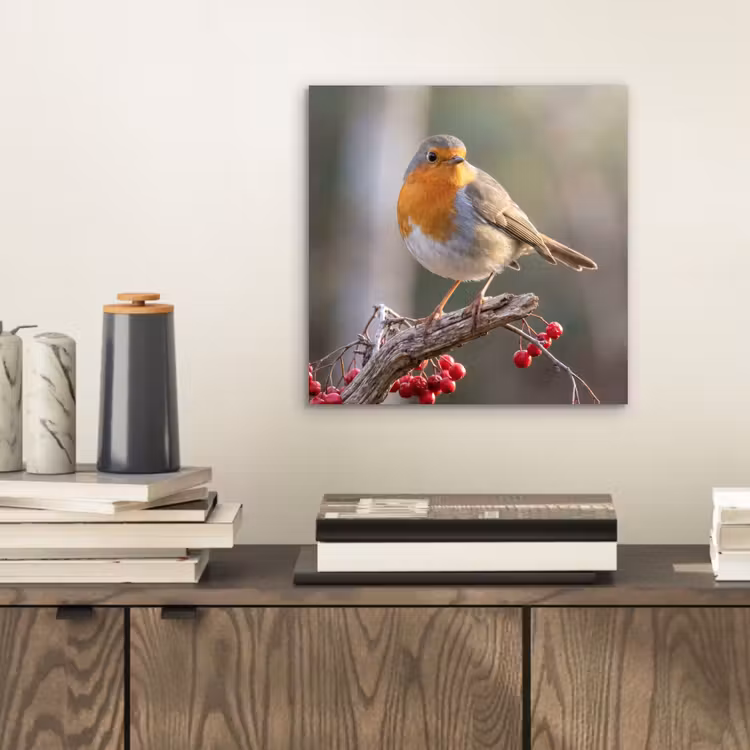 Roodborst - Tak - Bessen - Natuur aluminium wit klein -sfeer1