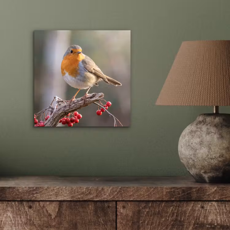 Roodborst - Tak - Bessen - Natuur aluminium wit klein -sfeer2