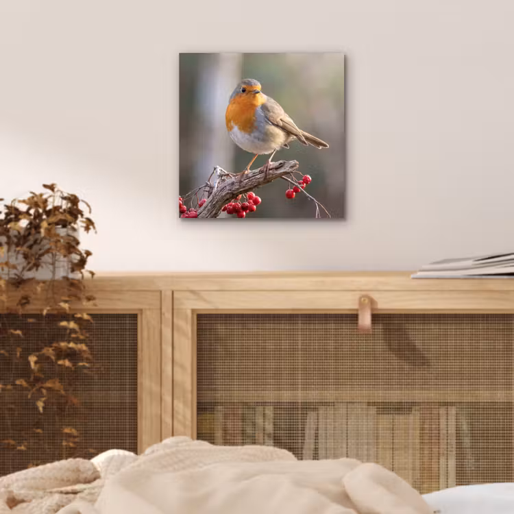 Roodborst - Tak - Bessen - Natuur aluminium wit klein -sfeer3