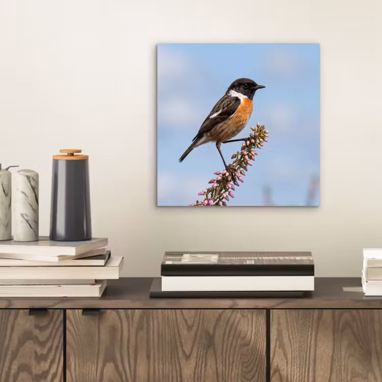 Roodborsttapuit - Heide - Paars - Natuur - Sfeervol aluminium wit klein -sfeer1