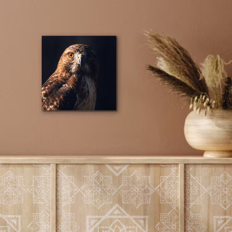 Roofvogel - Buizerd - Bruin aluminium wit klein -sfeer4