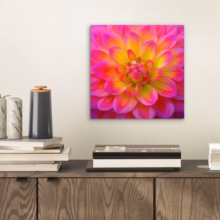 Roze - Dahlia - Kleurrijk aluminium wit klein -sfeer1