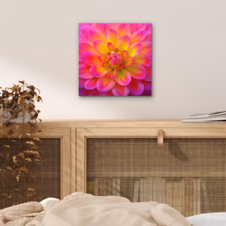 Roze - Dahlia - Kleurrijk aluminium wit klein -sfeer3