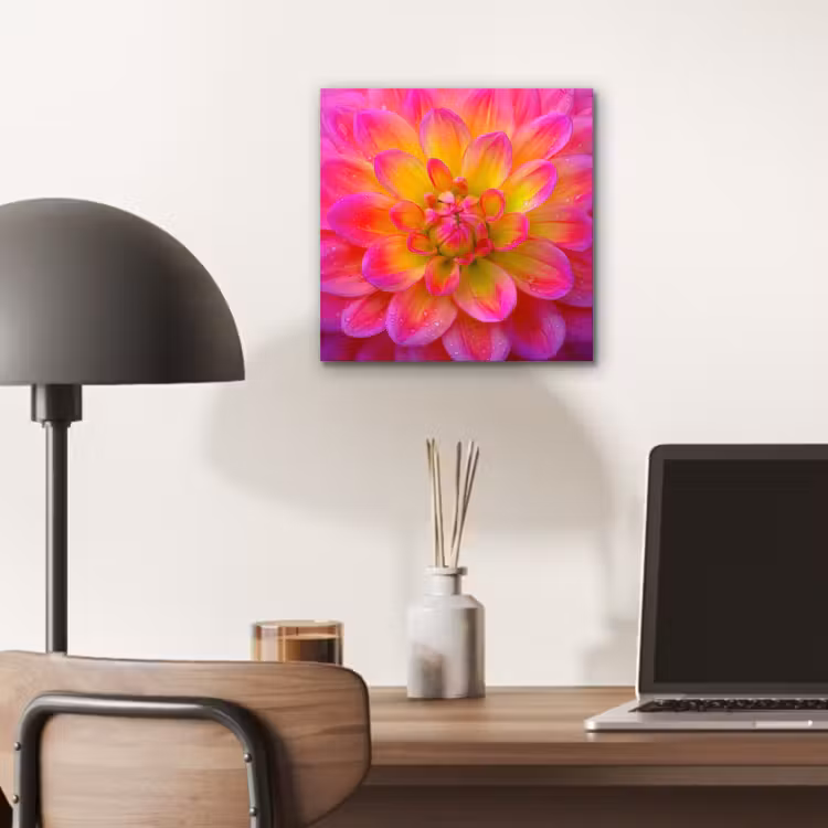 Roze - Dahlia - Kleurrijk aluminium wit klein -sfeer5