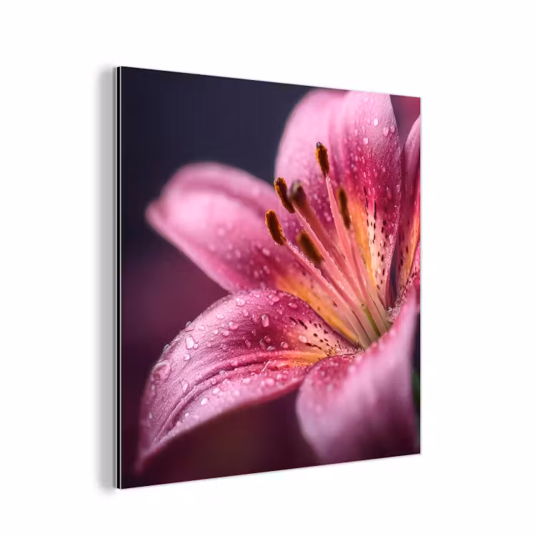 Roze - lelie - Dauwdruppels aluminium wit klein -3d