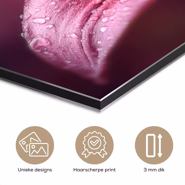 Roze - lelie - Dauwdruppels aluminium wit klein -closeup_NL