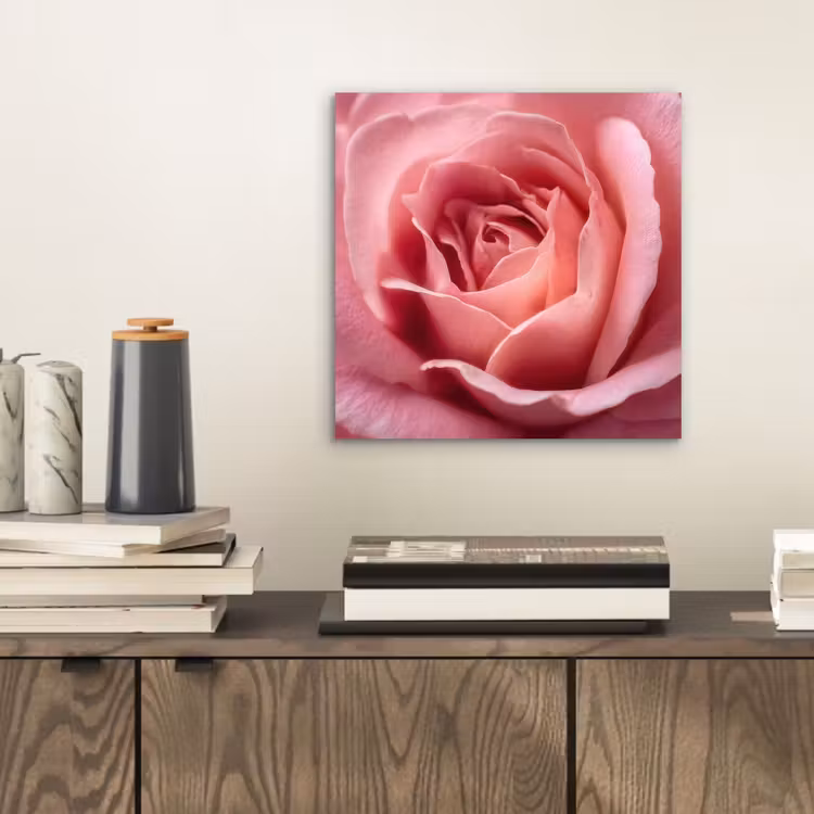 Roze - Roos - Romantisch aluminium wit klein -sfeer1