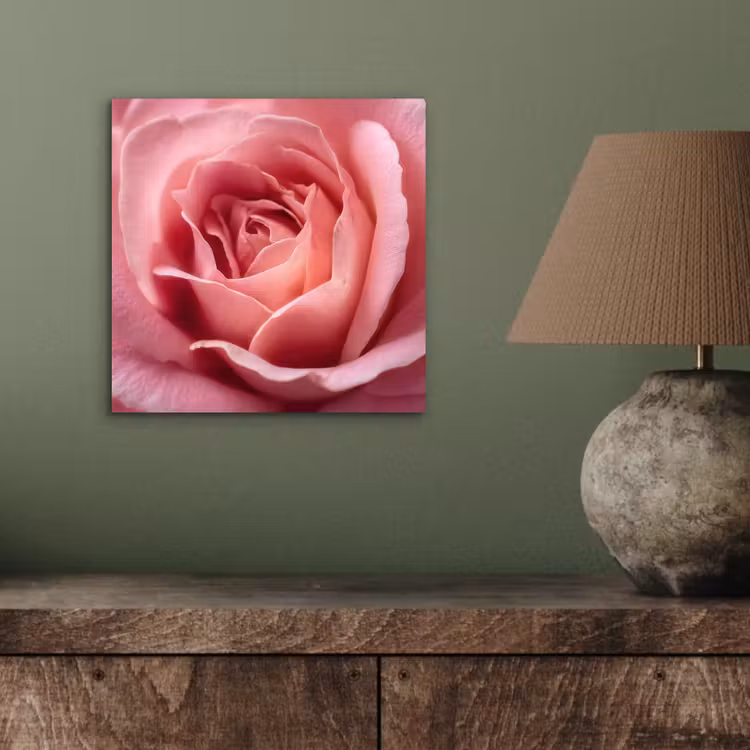 Roze - Roos - Romantisch aluminium wit klein -sfeer2