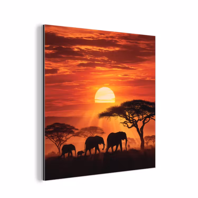Savanne - Olifanten - Zonsondergang aluminium wit klein -3d