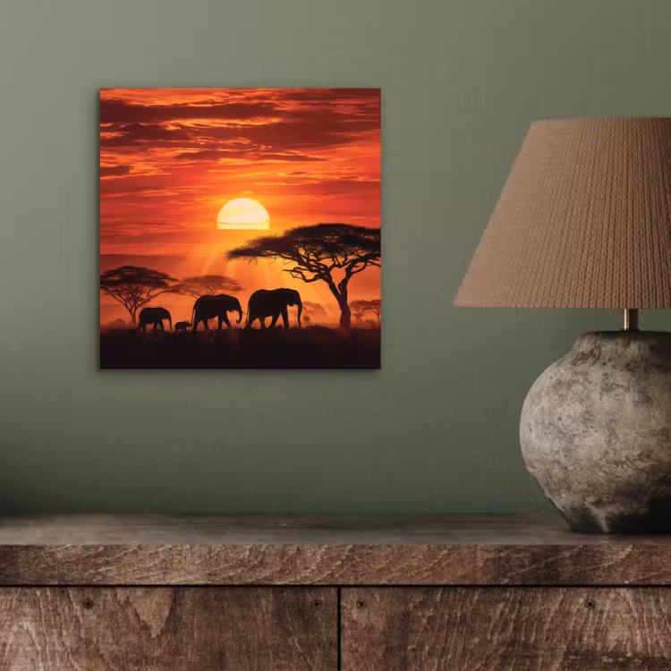 Savanne - Olifanten - Zonsondergang aluminium wit klein -sfeer2
