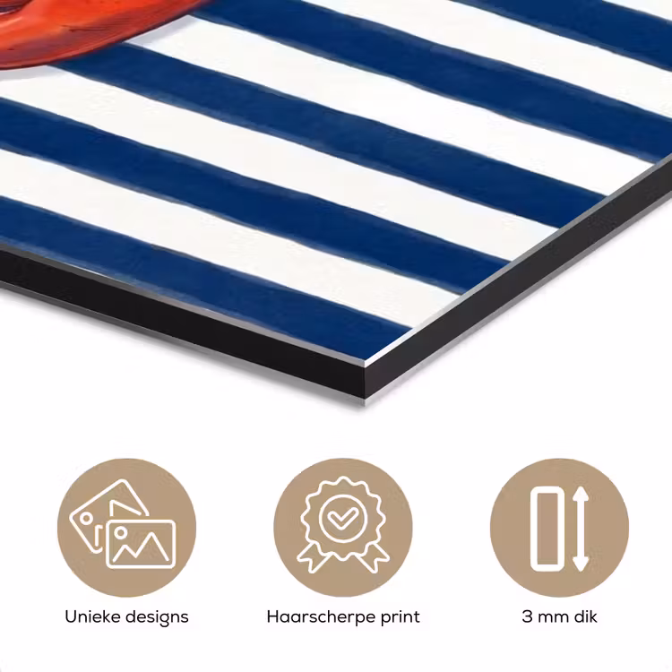 Schaaldier - Kreeft - Marine - Illustratie - Rood aluminium wit klein -closeup_NL
