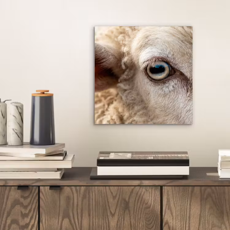 Schaap - Oog - Wit aluminium wit klein -sfeer1