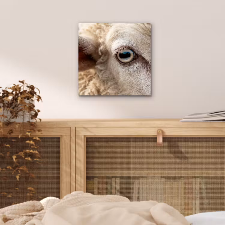Schaap - Oog - Wit aluminium wit klein -sfeer3