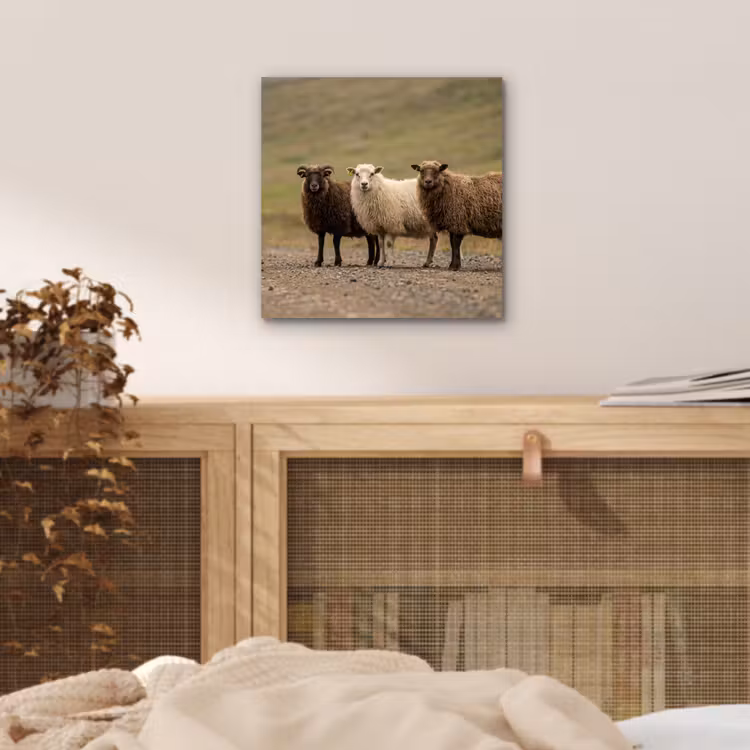 Schapen - Bruin - Wit - Grindpad aluminium wit klein -sfeer3