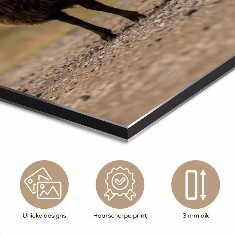 Schapen - Bruin - Wit - Grindpad aluminium wit klein -closeup_NL