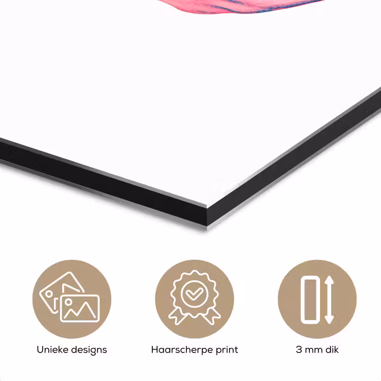 Schedel - Grafisch - Roze - Verdeeld aluminium wit klein -closeup_NL