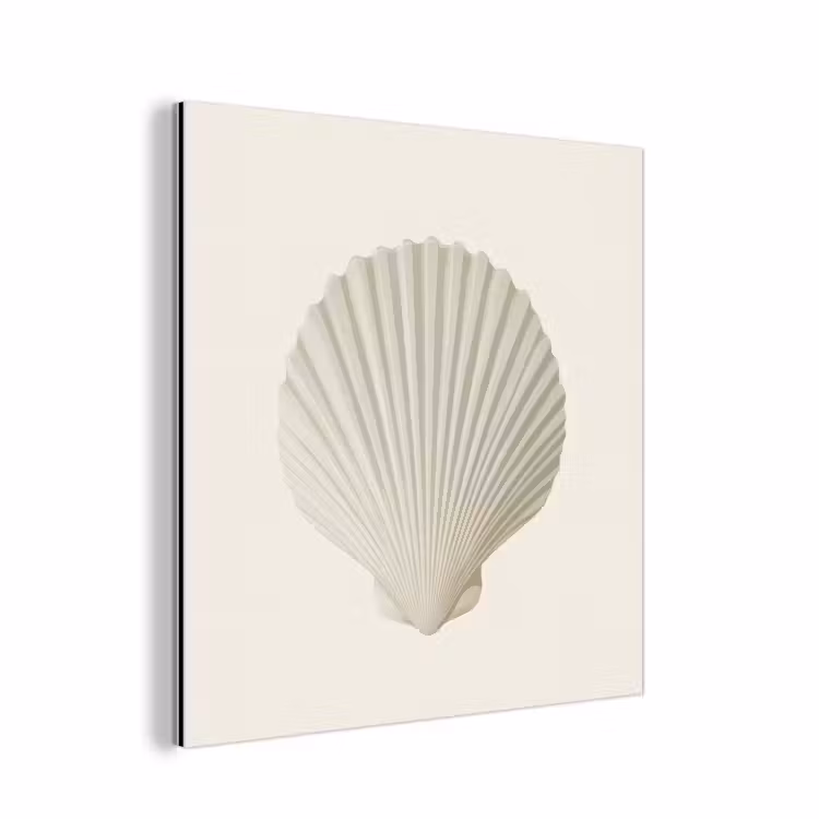 Schelp - Minimalistisch - Wit aluminium wit klein -3d