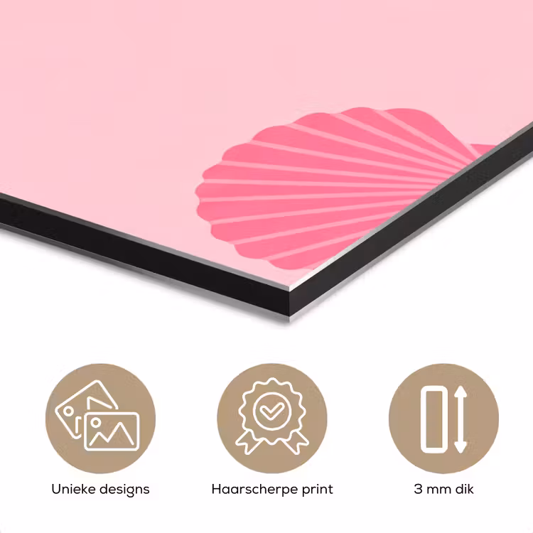 Schelp - Patroon - Zee - Modern - Roze aluminium wit klein -closeup_NL
