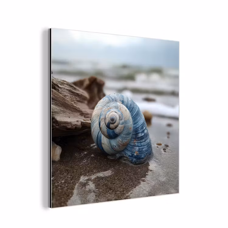 Schelp - Strand - Blauw - Zee aluminium wit klein -3d
