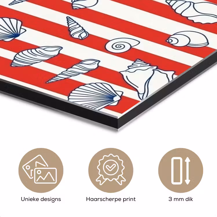 Schelp - Zeedieren - Zomer - Illustratie - Rood - Blauw aluminium wit klein -closeup_NL
