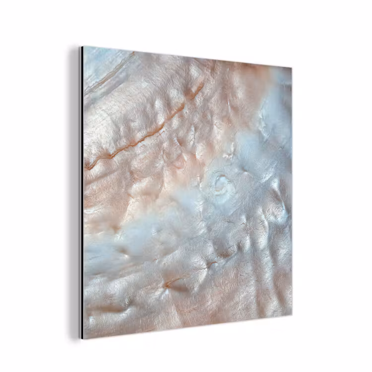 Schelpen - Abstract - Natuur aluminium wit klein -3d