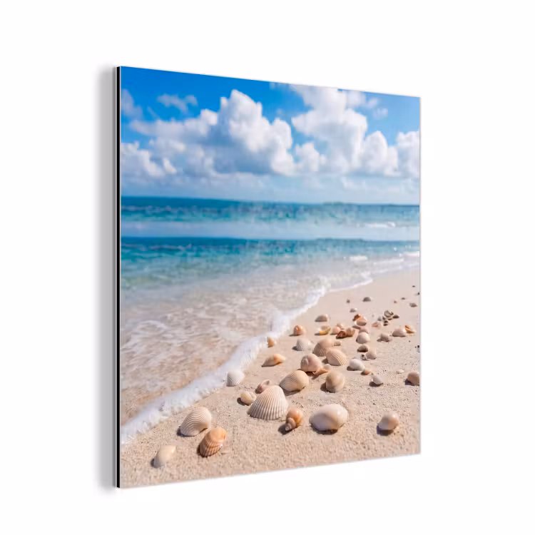 Schelpen - Strand - Natuur - Beige aluminium wit klein -3d