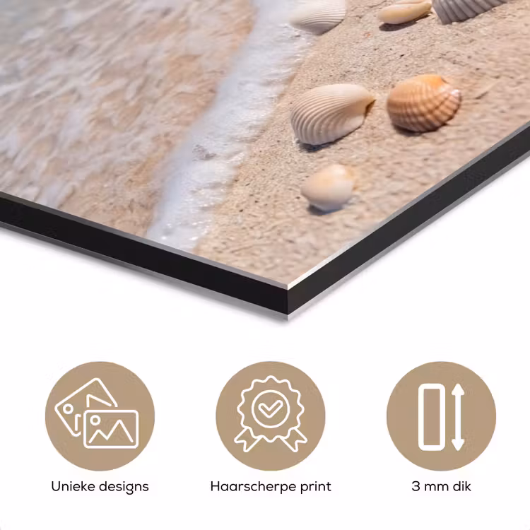 Schelpen - Strand - Natuur - Beige aluminium wit klein -closeup_NL